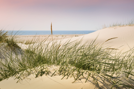 Bild-Nr: 11865053 Nordsee Charme und Eleganz Erstellt von: Reiner Würz