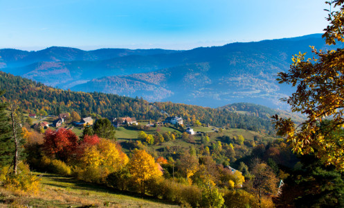 Bild-Nr: 11866187 Herbst Erstellt von: KundenNr-327281