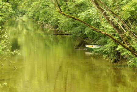 Bild-Nr: 11866456 Am grünen Fluss Erstellt von: GUGIGEI