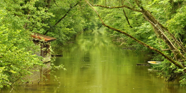 Bild-Nr: 11866459 Idylle am Fluss Erstellt von: GUGIGEI