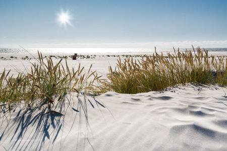 Bild-Nr: 11866581 Ein himmlischer Strandtag Erstellt von: Reiner Würz