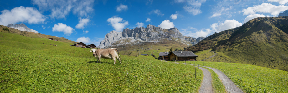 Bild-Nr: 11866697 Almweg Erstellt von: SusaZoom