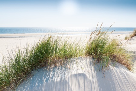 Bild-Nr: 11867108 Sommer am Nordseestrand Erstellt von: Reiner Würz