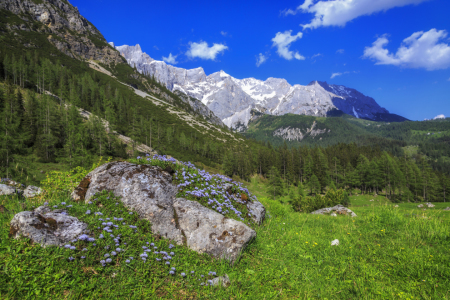 Bild-Nr: 11867129 am Dachstein Erstellt von: Daniela Beyer