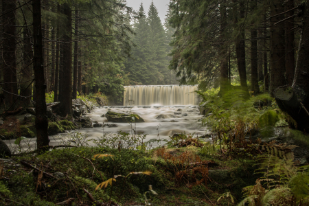 Bild-Nr: 11867312 Wasserfall im Wald - Langzeitbelichtung Erstellt von: Harry-Hennington