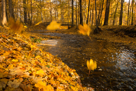 Bild-Nr: 11868022 Herbst am Fluss Erstellt von: Harry-Hennington