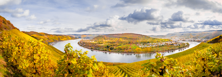 Bild-Nr: 11868077 Herbst im Mittelrheintal Erstellt von: Richard-Young