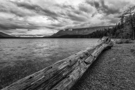 Bild-Nr: 11868335 Am Lake McDonald - Glacier NP Erstellt von: TomKli