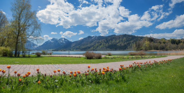 Bild-Nr: 11869320 Schliersee Frühlingspanorama II Erstellt von: SusaZoom