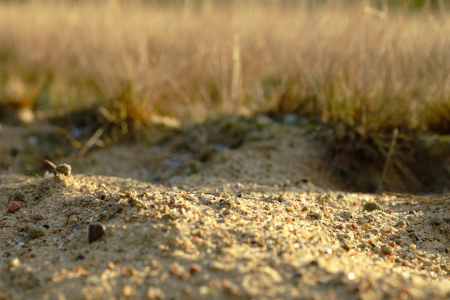 Bild-Nr: 11869420 Der Kieselstrand Erstellt von: Ostfriese