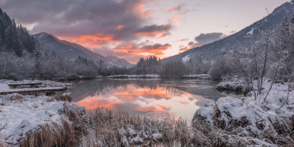 Bild-Nr: 11869929 Abendrot im winterlichen Naturschutzgebiet Zelenci Erstellt von: Graphitone