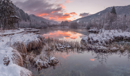 Bild-Nr: 11869933 Abendrot am winterlichen See Zelenci Erstellt von: Graphitone