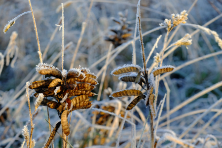 Bild-Nr: 11870410 Winteridylle Erstellt von: Ostfriese