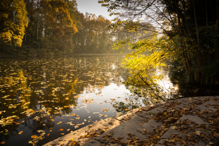 Bild-Nr: 11870787 Herbststimmung Erstellt von: Galli