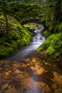 Bild-Nr: 11873732 Mystical Bridge Erstellt von: Thomas Koch