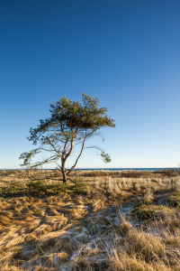 Bild-Nr: 11873804 mein Platz am Meer Erstellt von: Ursula Reins