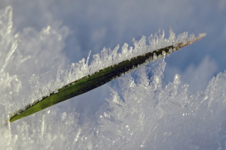 Bild-Nr: 11873816 Schneekristalle Erstellt von: Ostfriese