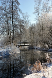 Bild-Nr: 11875133 frostige Zeiten Erstellt von: GUGIGEI