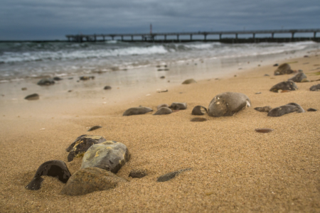 Bild-Nr: 11876387 Steine am Strand Meer Küste Wasser  Erstellt von: luxpediation