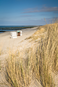 Bild-Nr: 11876457 Einblick am Strand Erstellt von: luxpediation