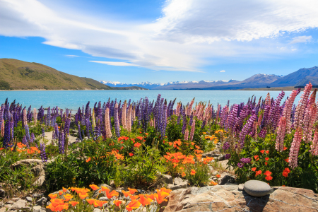 Bild-Nr: 11877365 Lake Tekapo Erstellt von: DM88