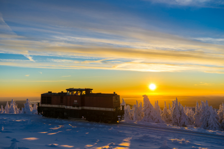 Bild-Nr: 11877446 Ein einsames Harzkamel bei Sonnenaufgang Erstellt von: KundenNr-329836