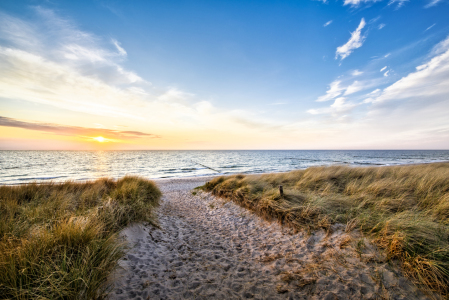 Bild-Nr: 11878411 Weg über die Dünen zum Meer Erstellt von: ReichderNatur