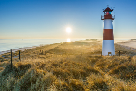 Bild-Nr: 11879525 Sunshine on Sylt   - 2 - Erstellt von: Ursula Reins