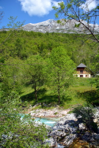 Bild-Nr: 11881156 An der Soca Erstellt von: GUGIGEI