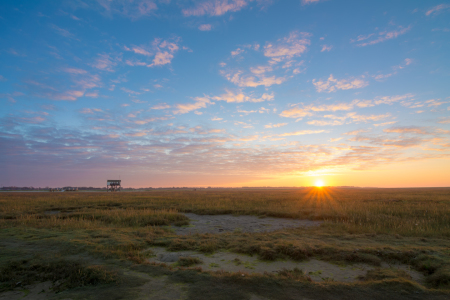 Bild-Nr: 11881256 Sonnenaufgang in Sankt Peter Ording Erstellt von: Martin Wasilewski