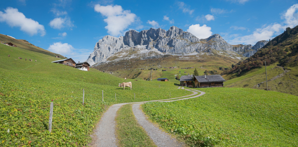 Bild-Nr: 11883318 Auf die Alm Erstellt von: SusaZoom