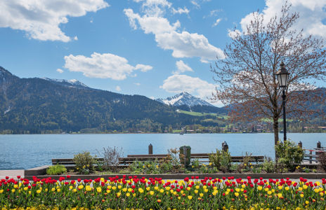Bild-Nr: 11883554 Tegernsee Frühlingspromenade Erstellt von: SusaZoom