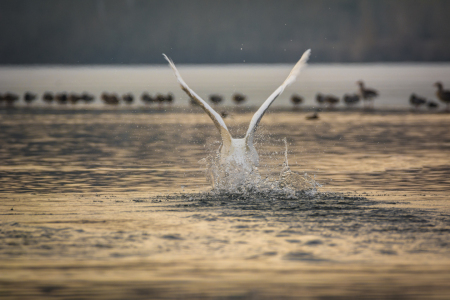 Bild-Nr: 11883611 Abflug Erstellt von: luxpediation