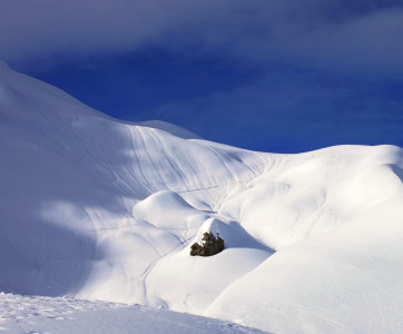 Bild-Nr: 11884576 Schneelandschaft neu Erstellt von: Amazone54