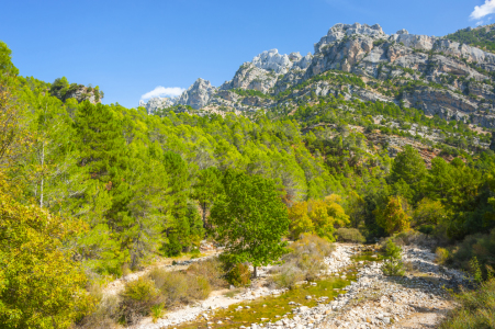 Bild-Nr: 11884715 Naturlandschaft Andalusien Erstellt von: KundenNr-160338