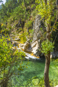 Bild-Nr: 11885334 Smaragdgrüner Fluss Erstellt von: KundenNr-160338