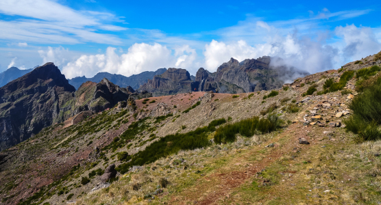 Bild-Nr: 11886575 Hochweg Erstellt von: georgfotoart