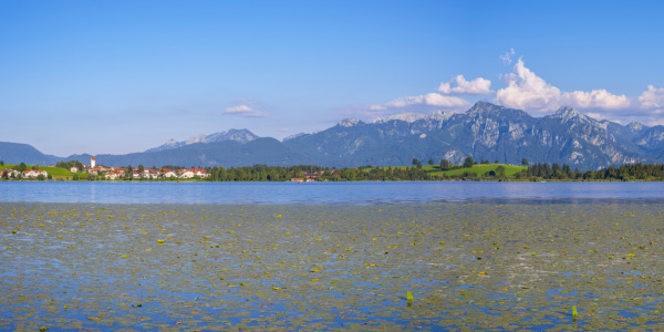 Bild-Nr: 11889763 Hopfen am See Erstellt von: Walter G. Allgöwer