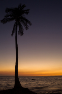 Bild-Nr: 11891288 Sonnenuntergang auf Hawaii Erstellt von: DirkR