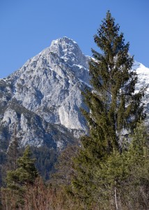 Bild-Nr: 11891874 Alpen Erstellt von: wompus