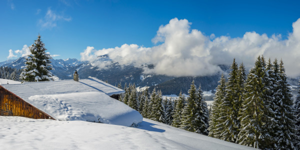 Bild-Nr: 11893552 Kleinwalsertal Erstellt von: Walter G. Allgöwer