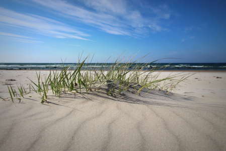 Bild-Nr: 11894932 Sandwellen Erstellt von: Ostseestrand