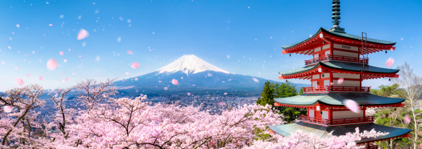 Bild-Nr: 11895844 Berg Fuji während der Kirschblüte in Japan Erstellt von: eyetronic