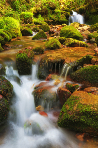 Bild-Nr: 11898489 Schwarzwaldwasser Erstellt von: Thomas Herzog