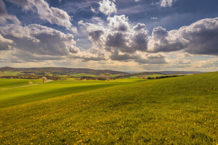 Bild-Nr: 11900338 Rühler Schweiz Erstellt von: Dieter Toelke Photography