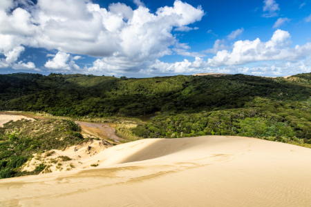 Bild-Nr: 11900485 Te Paki Sand Dunes Erstellt von: TomKli