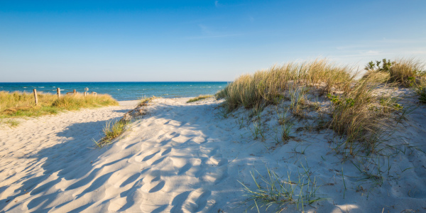 Bild-Nr: 11900832 Frühlingserwachen am Meer Erstellt von: Ursula Reins