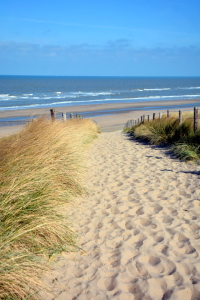 Bild-Nr: 11901868 Weg zum Strand Erstellt von: GUGIGEI