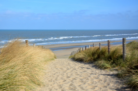 Bild-Nr: 11901869 Weg zum Strand Erstellt von: GUGIGEI