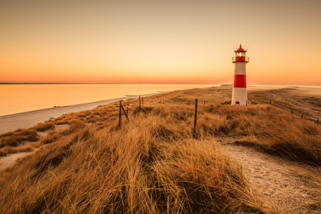 Bild-Nr: 11901958 Sylt - im goldenen Licht kurz vor Sonnenaufgang Erstellt von: Ursula Reins